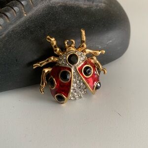 Ladybug Brooch